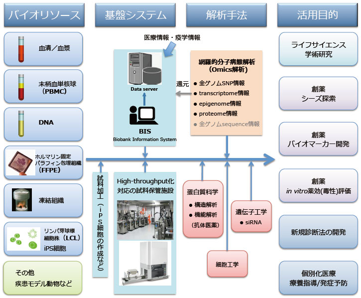 データベース